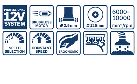 BOSCH GEX 12V-125 Professional Akku-Exzenterschleifer B-0-601-372-100 2